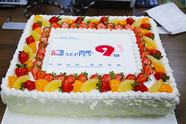 九周年庆蛋糕 九周年庆蛋糕