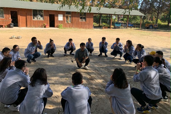 讲解项目活动 讲解项目活动